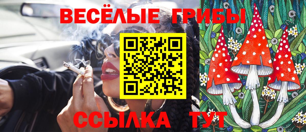 Галлюциногенные грибы Psilocybine cubensis  Вход с VPN  как найти наркотики  Кировск 
